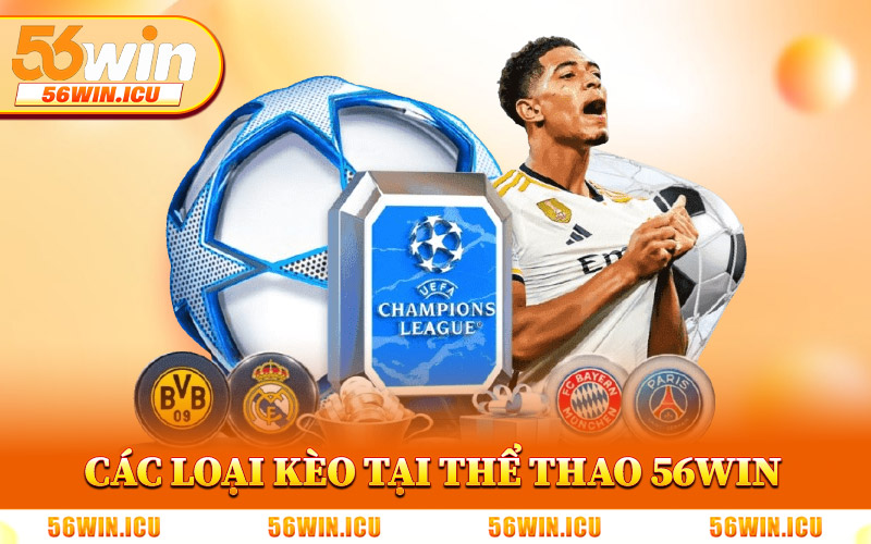 Các Loại Kèo Phổ Biến Tại Thể Thao 56Win
