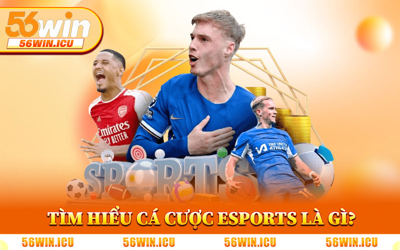 Tìm Hiểu Cá Cược eSports Là Gì?