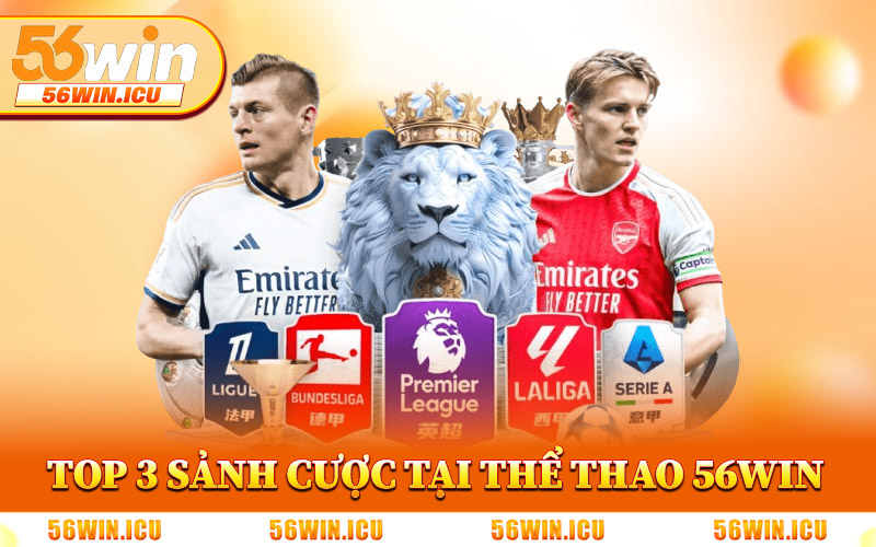 Top 3 Sảnh Cược Chính Tại Thể Thao 56Win
